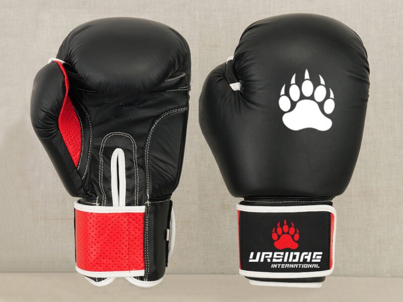 Leather Boxing Gloves.